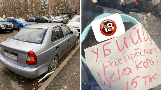 Распродажу мертвых котят устроила психически нездоровая горожанка-ветврач из Долгопрудного