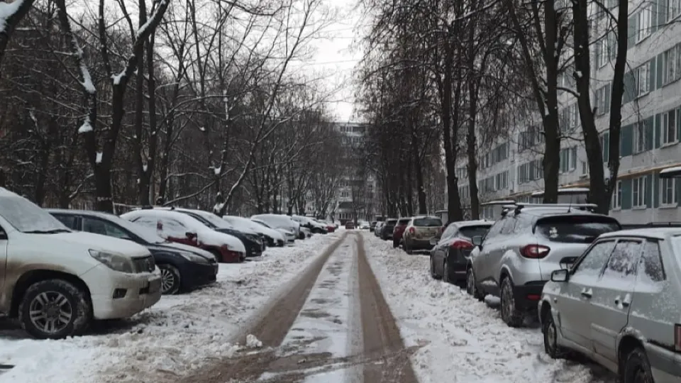 Фото: пресс-служба администрации г. о. Черноголовка