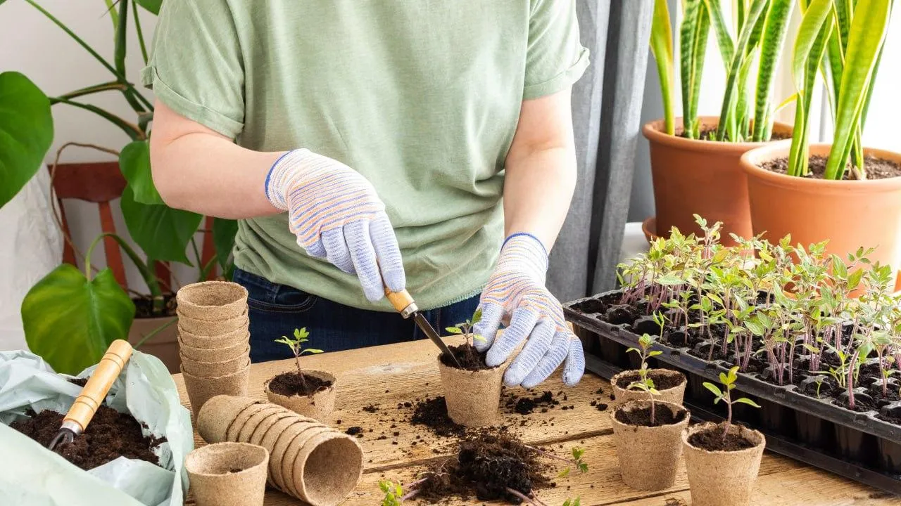 istockphoto.com/pundapanda