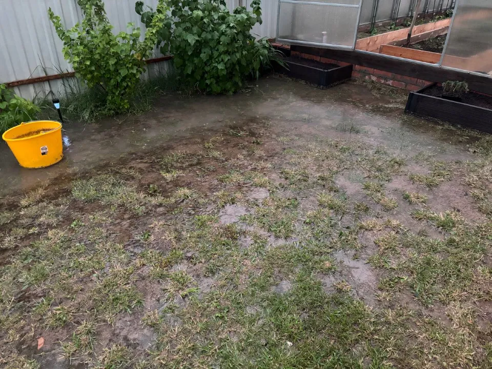 Фото: Василиса Андреева&nbsp;