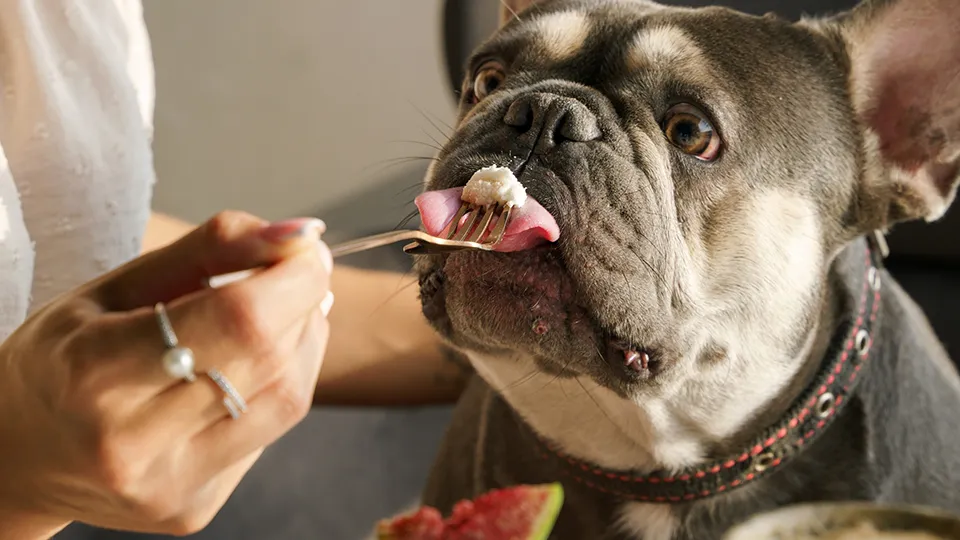 Фото: istockphoto.com/Polina Frolova