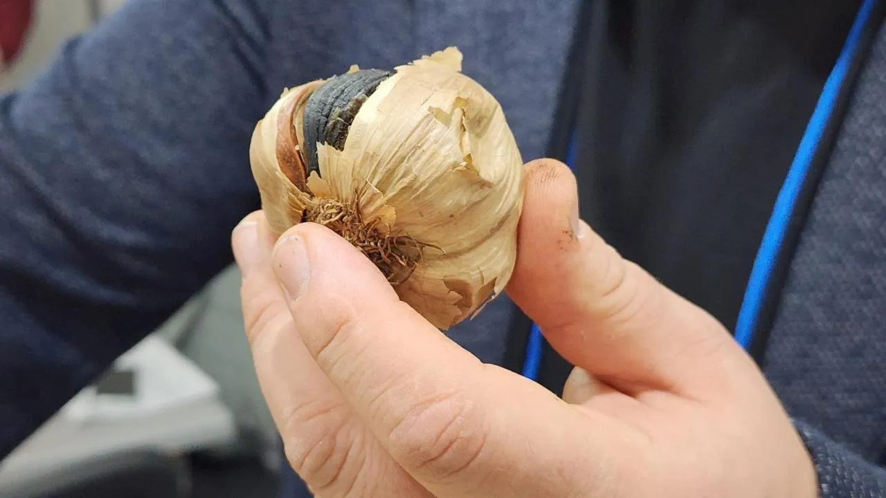 REGIONS/Артем Мишуков