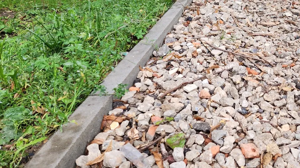 Фото: МедиаБанк Подмосковья/Екатерина Данилина