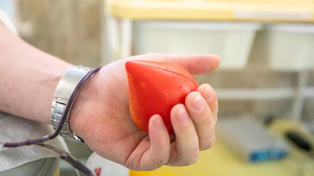 Фото: МОНИКИ имени Владимирского