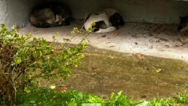 Социальные сети