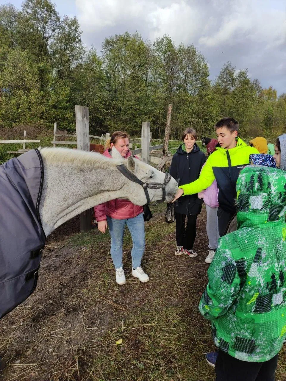 Фото : Минсоцразвития Московской области