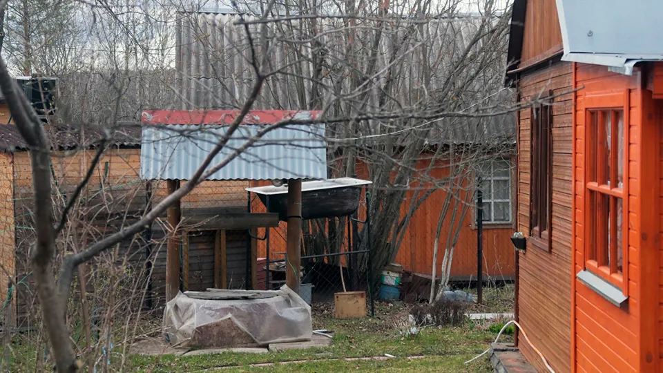 Фото: РИА Новости/Виталий Белоусов