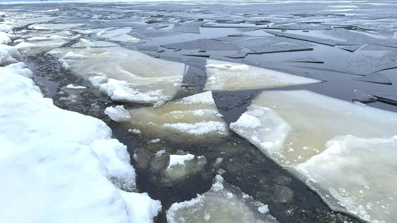 ГКУ МО "Мособлпожспас"