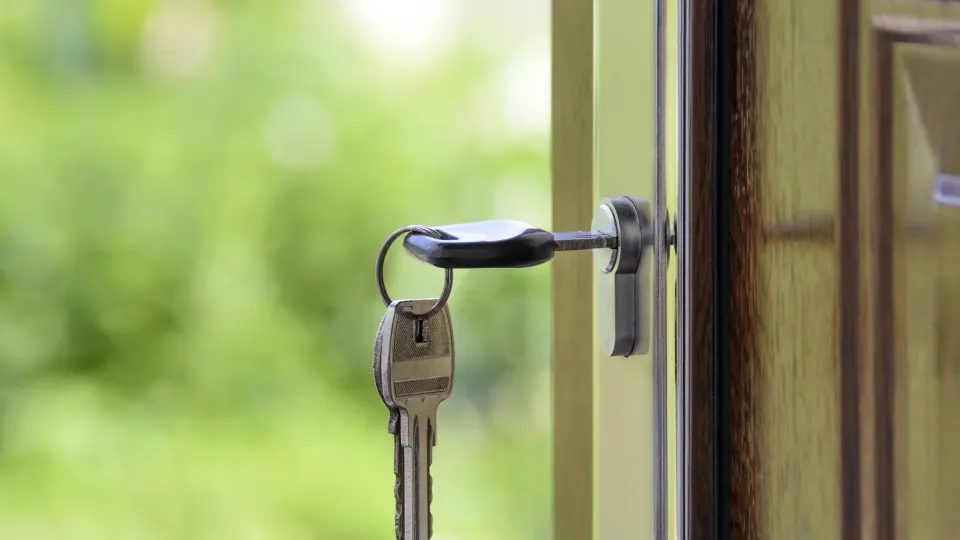 Фото: pxhere.com