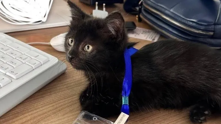 Фото: Ксения Рой