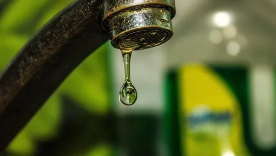 Фото: pixabay.com