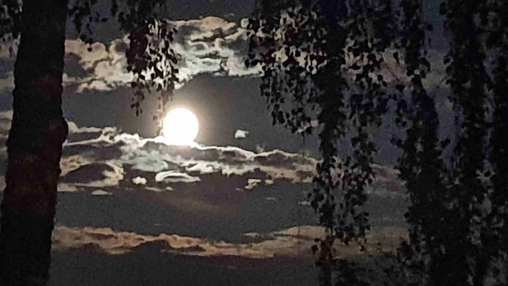 Фото: Наталия Надточая