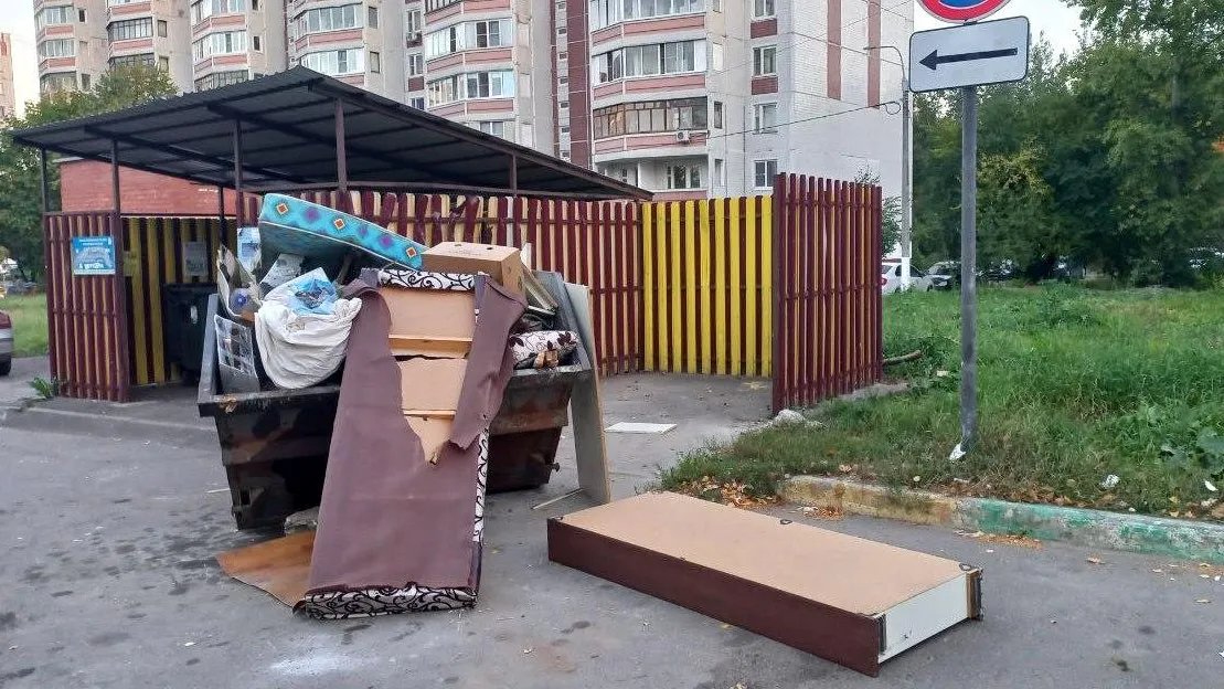 Фото: Олег Книжник