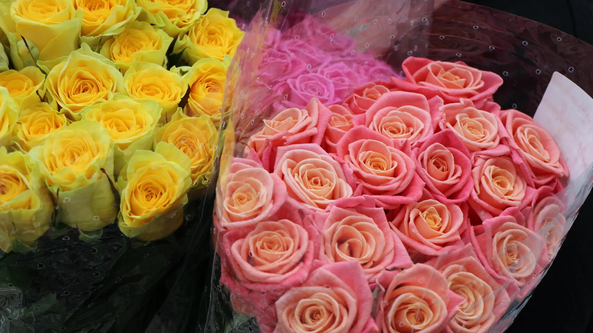 медиасток.рф