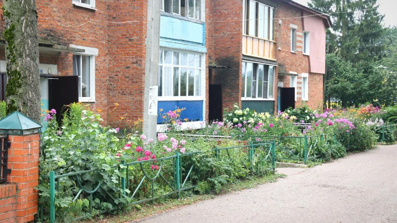 Фото: пресс-служба Администрации г.о. Волоколамск