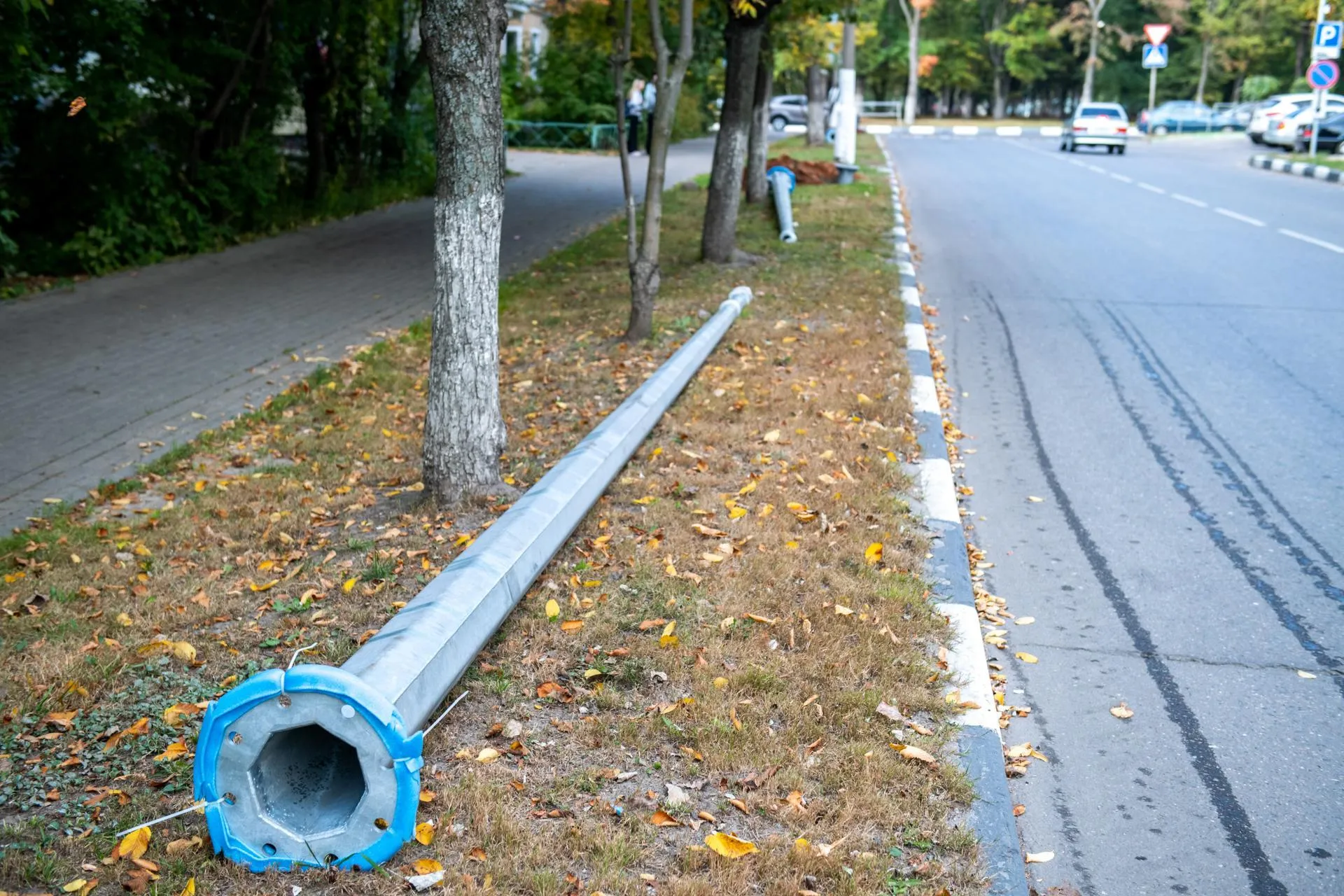 Фото: Александр Щербаков