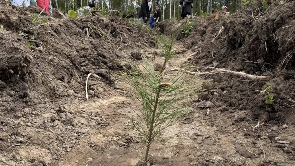 Фото: t.me/mosoblcomles