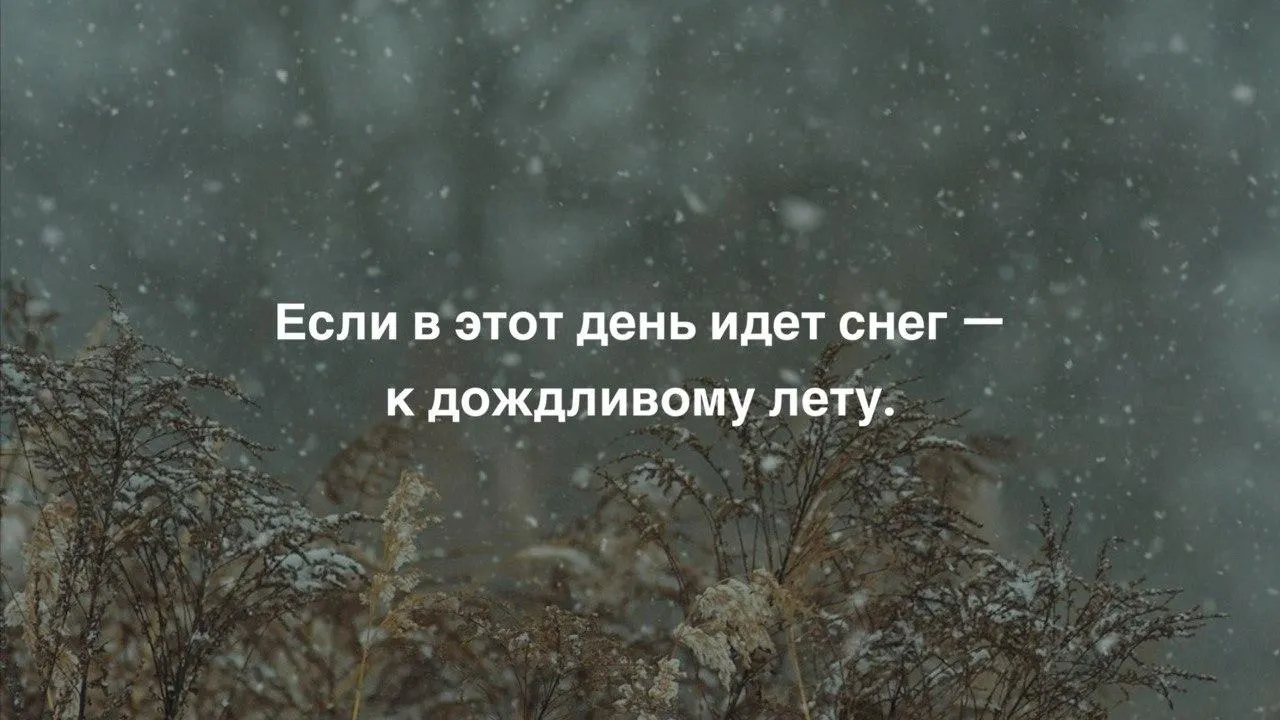 Коллаж: Unsplash