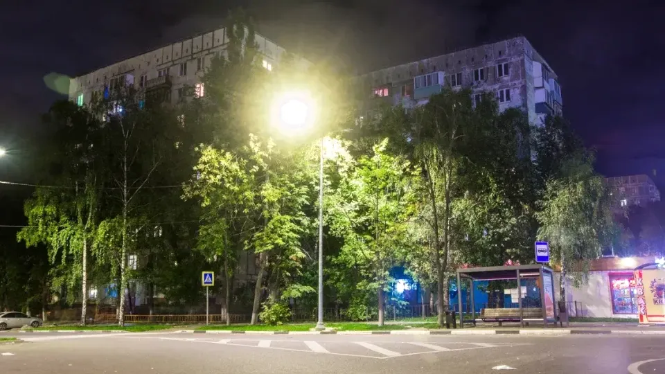 Фото: Министерство благоустройства Московской области