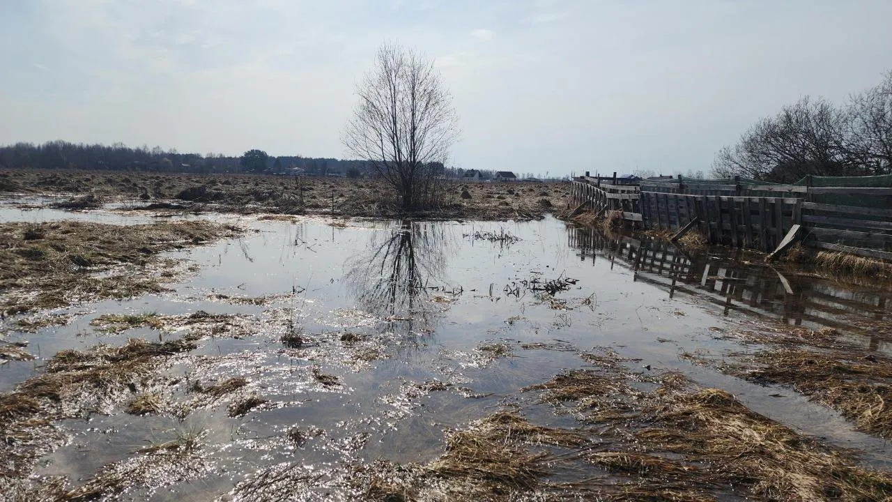 МедиаБанк Подмосковья/Дмитрий Беденко