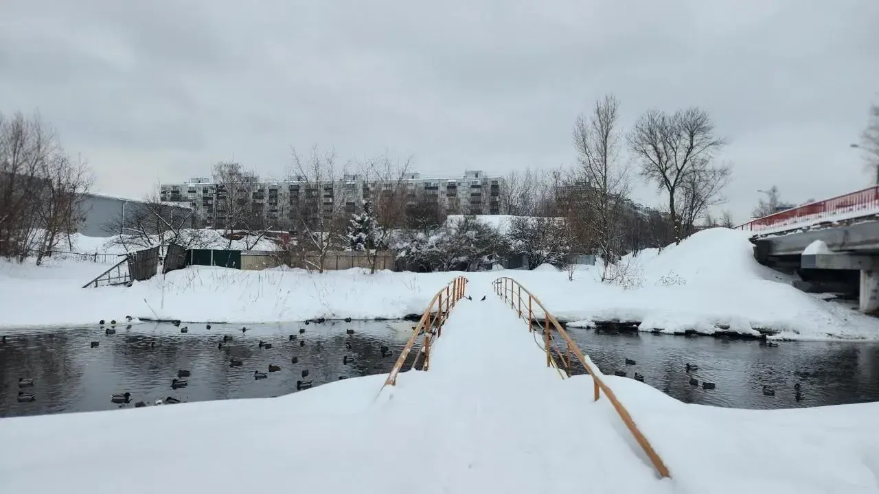 Роман Савельев