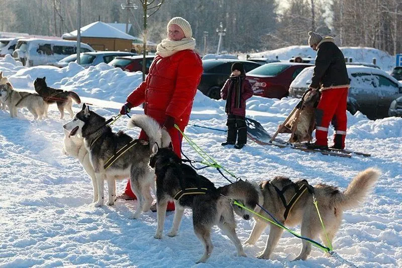 Фото: Парки городского округа Истра / ВКонтакте