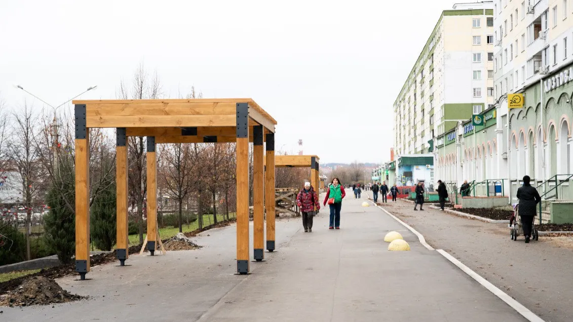 Фото: пресс-служба администрации Дмитровского г.о.