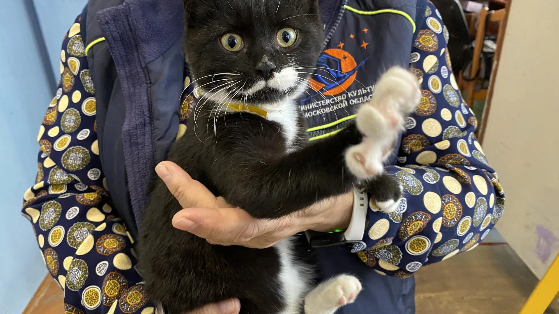 Дарья Шапочкина