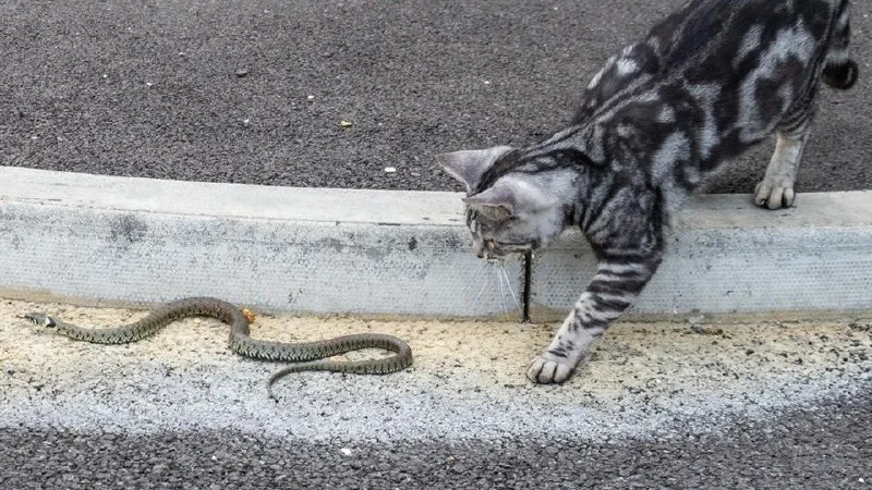 Фото: istockphoto.com