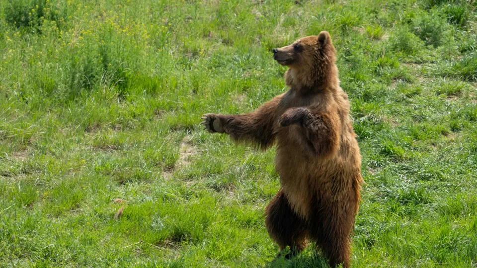 Фото: unsplash.com