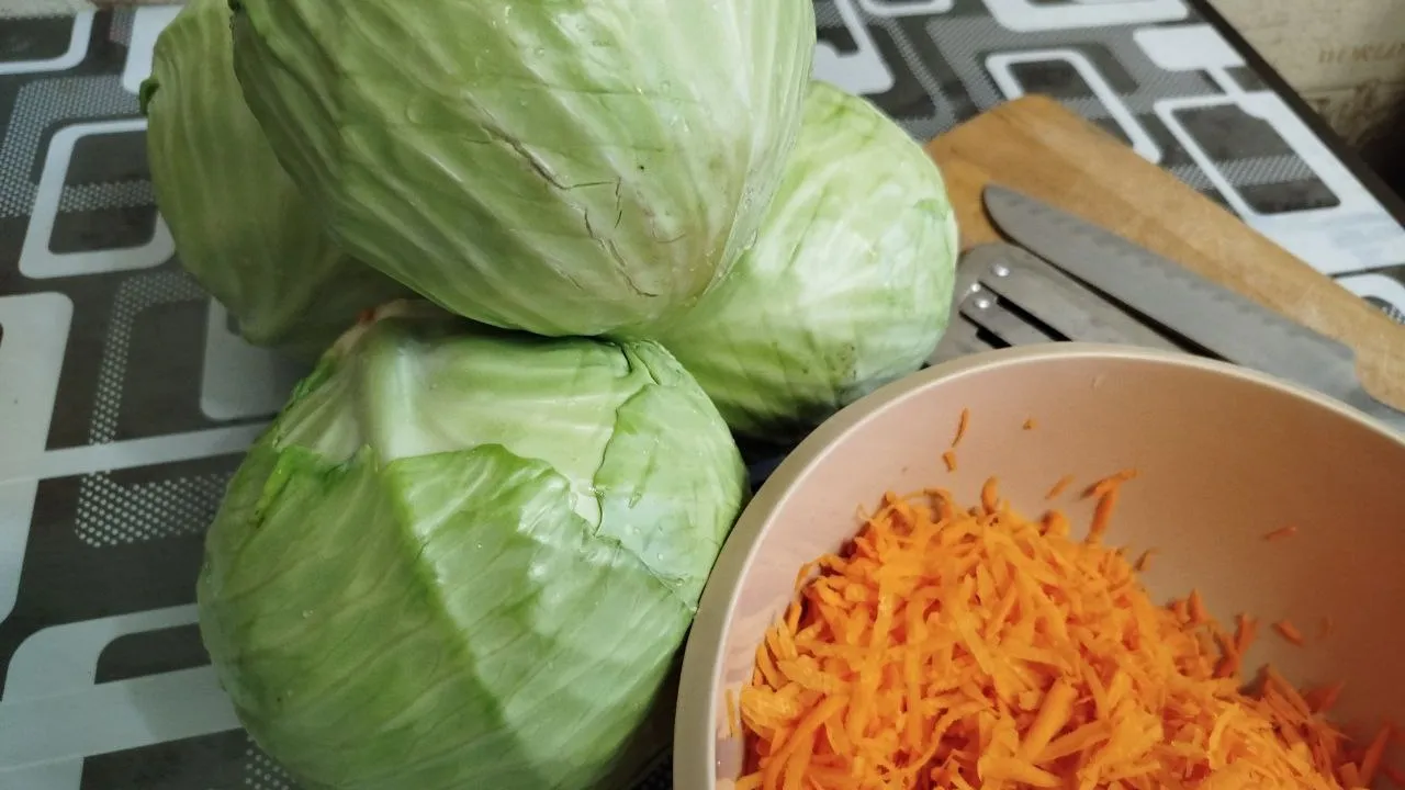 Фото: REGIONS/Юлия Куделькина