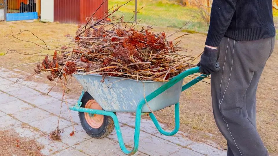 Фото: istockphoto.com/Kristina Pokaluk