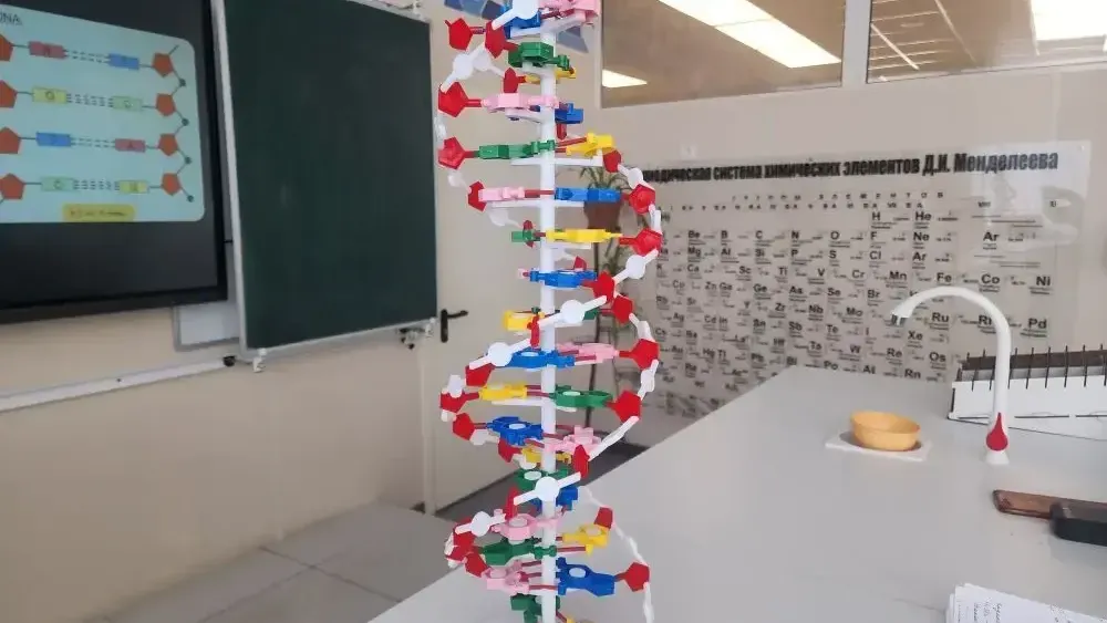 МедиаБанк Подмосковья/Ирина Кузова