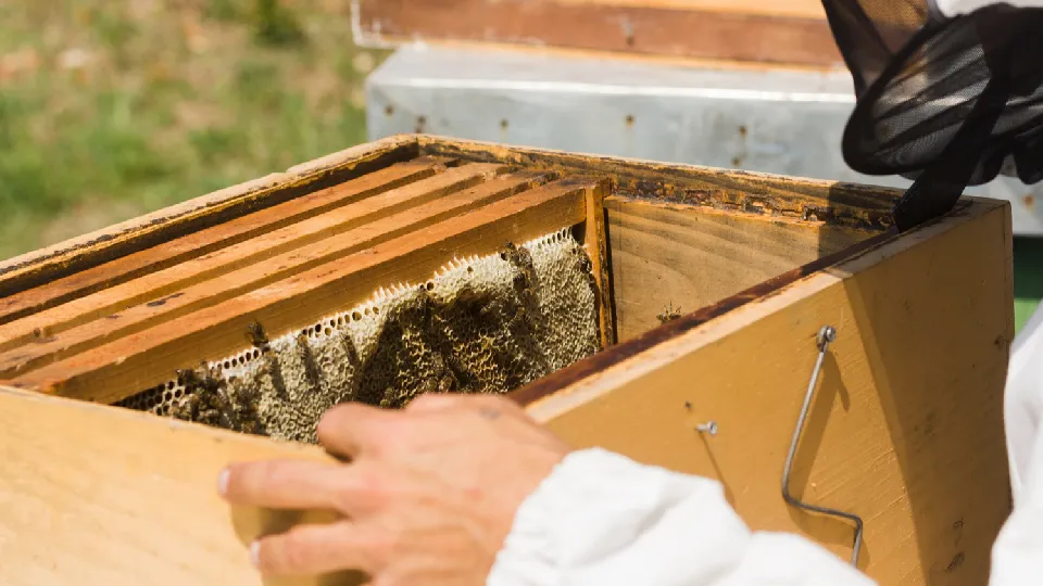 Фото: freepik.com