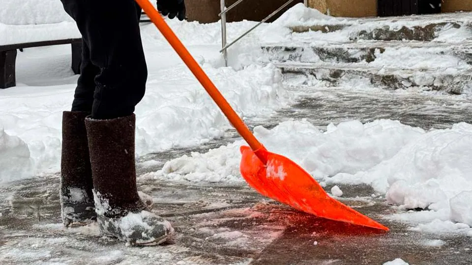 Фото: МедиаБанк Подмосковья/Ксения Афонина