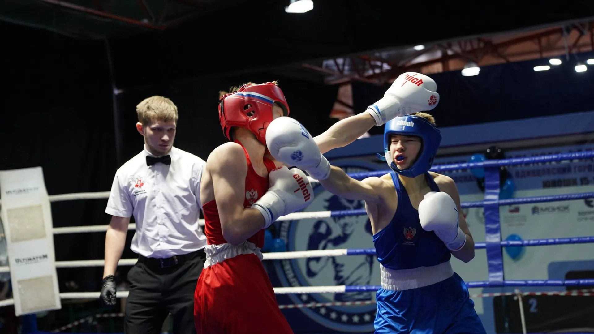 Федерация бокса России