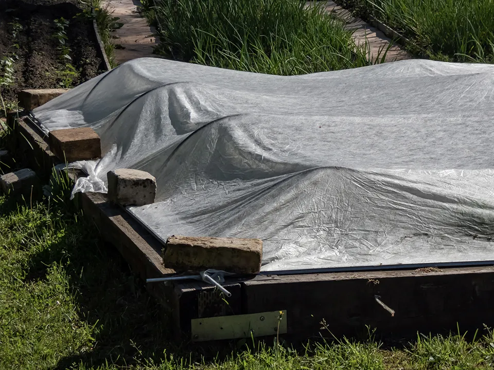 Фото: istockphoto.com/Kristine Radkovska