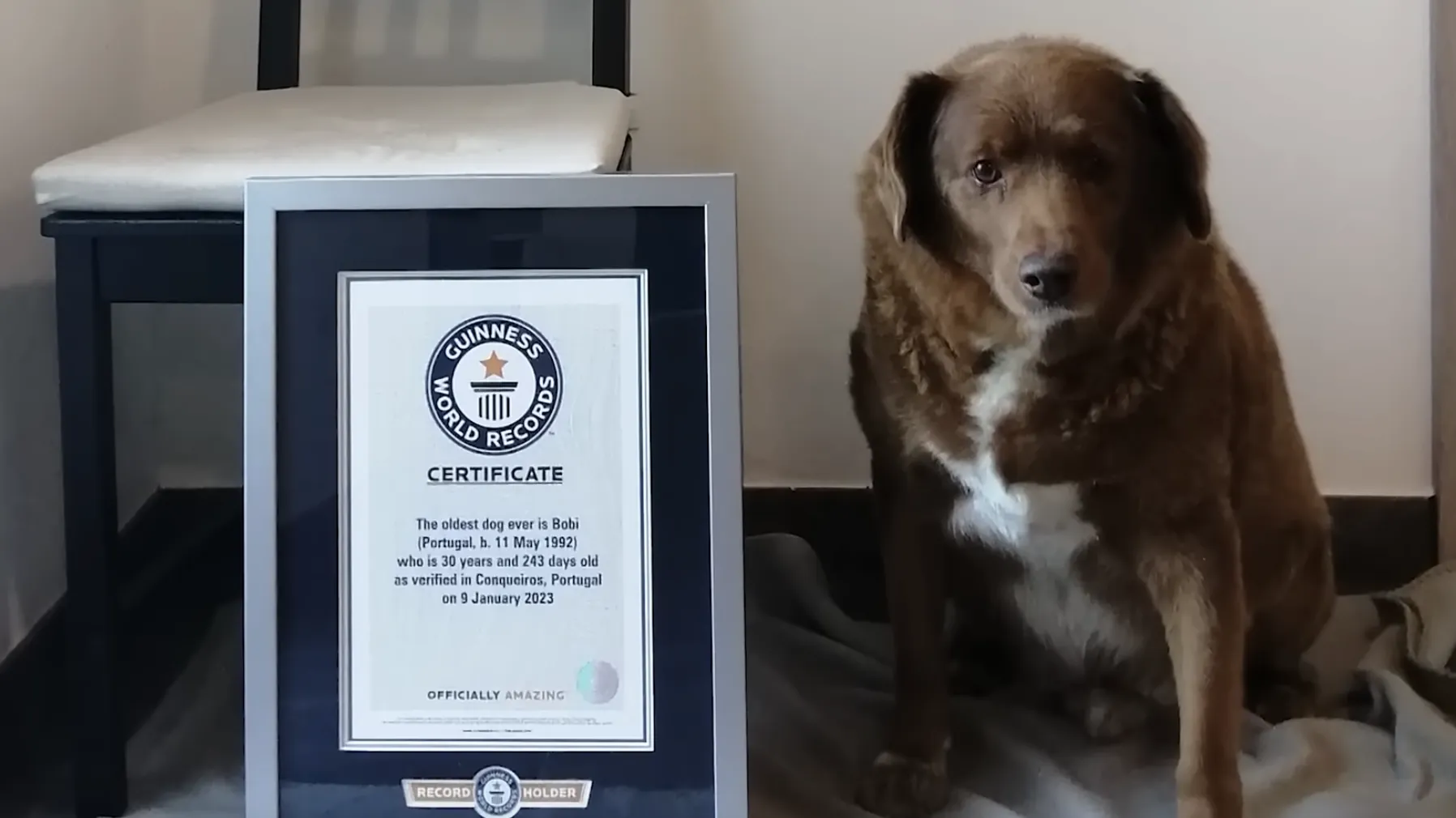 Guinness World Records
