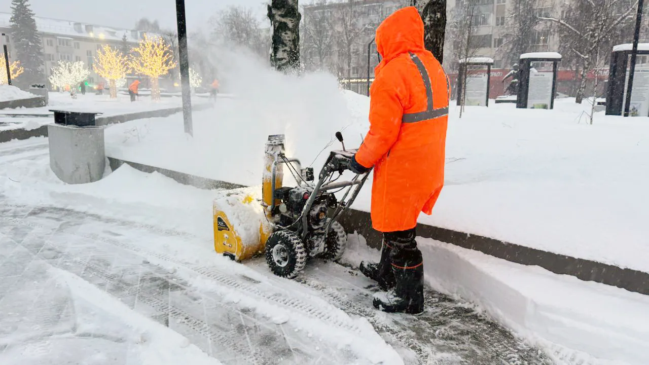 Фото: t.me/Krasnotsvetov_MV