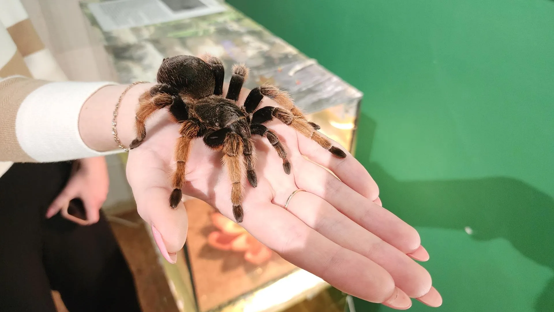 МедиаБанк Подмосковья/Ольга Сычева