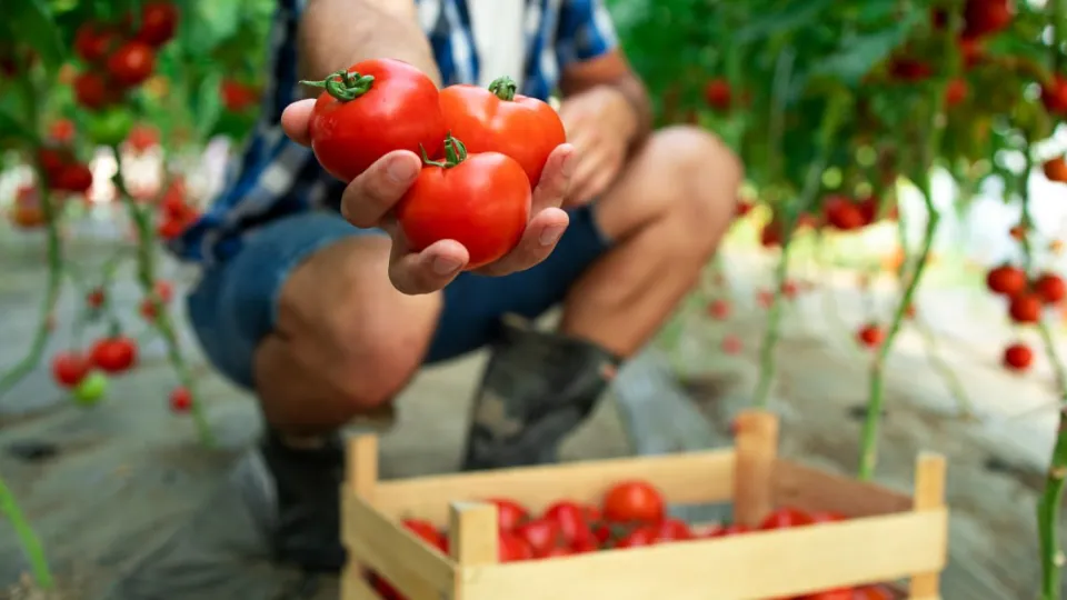 Фото: freepik.com