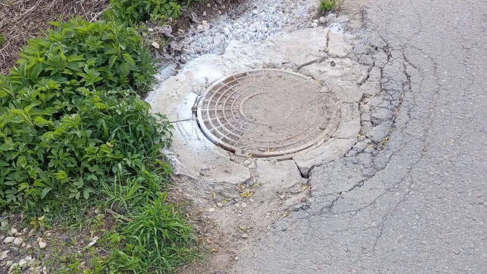 Фото: администрация г.о. Солнечногорск