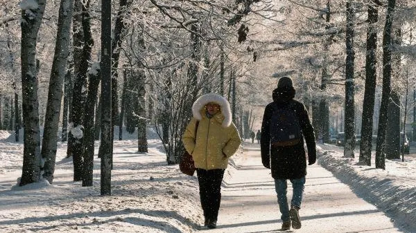 Алексей Даничев / РИА Новости