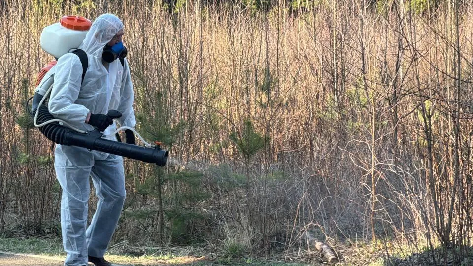 Фото: Марина Блакитная