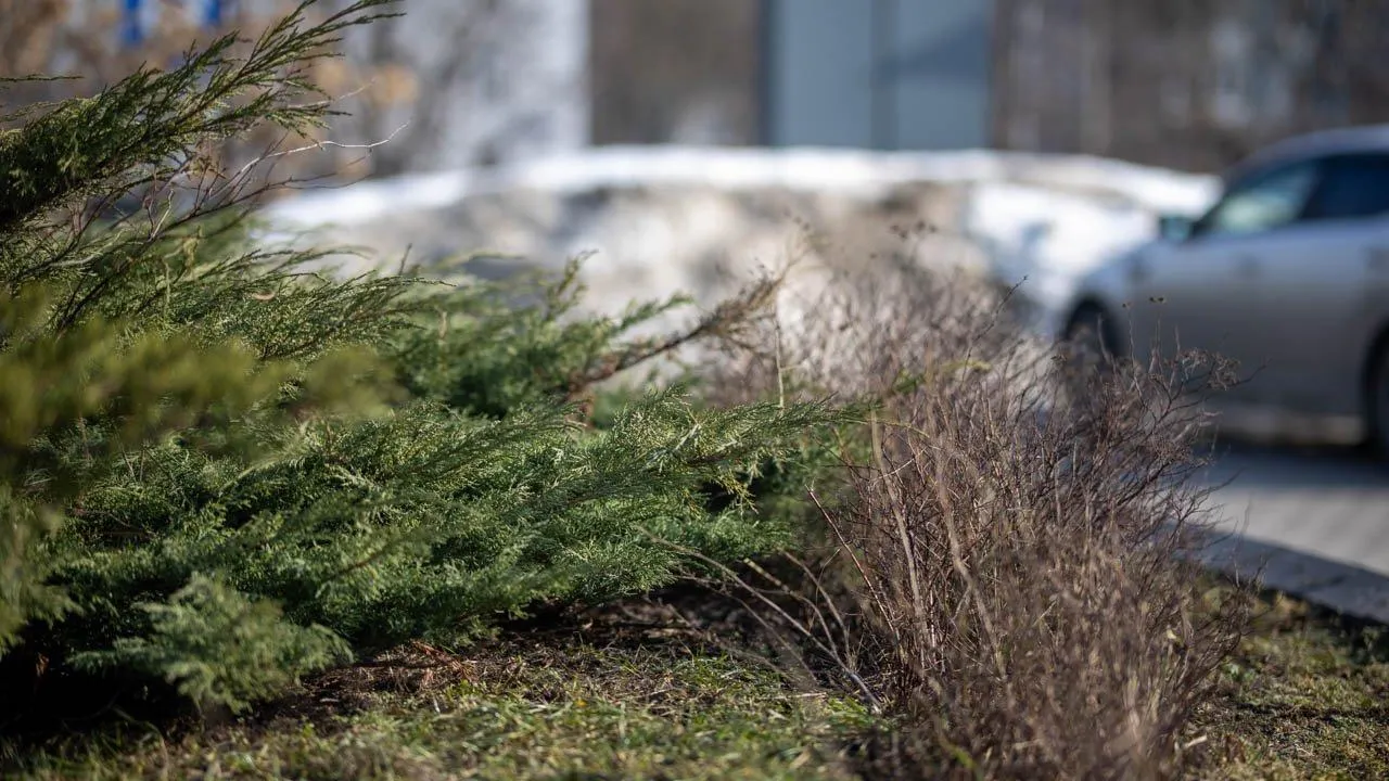 REGIONS/Роман Малышенко