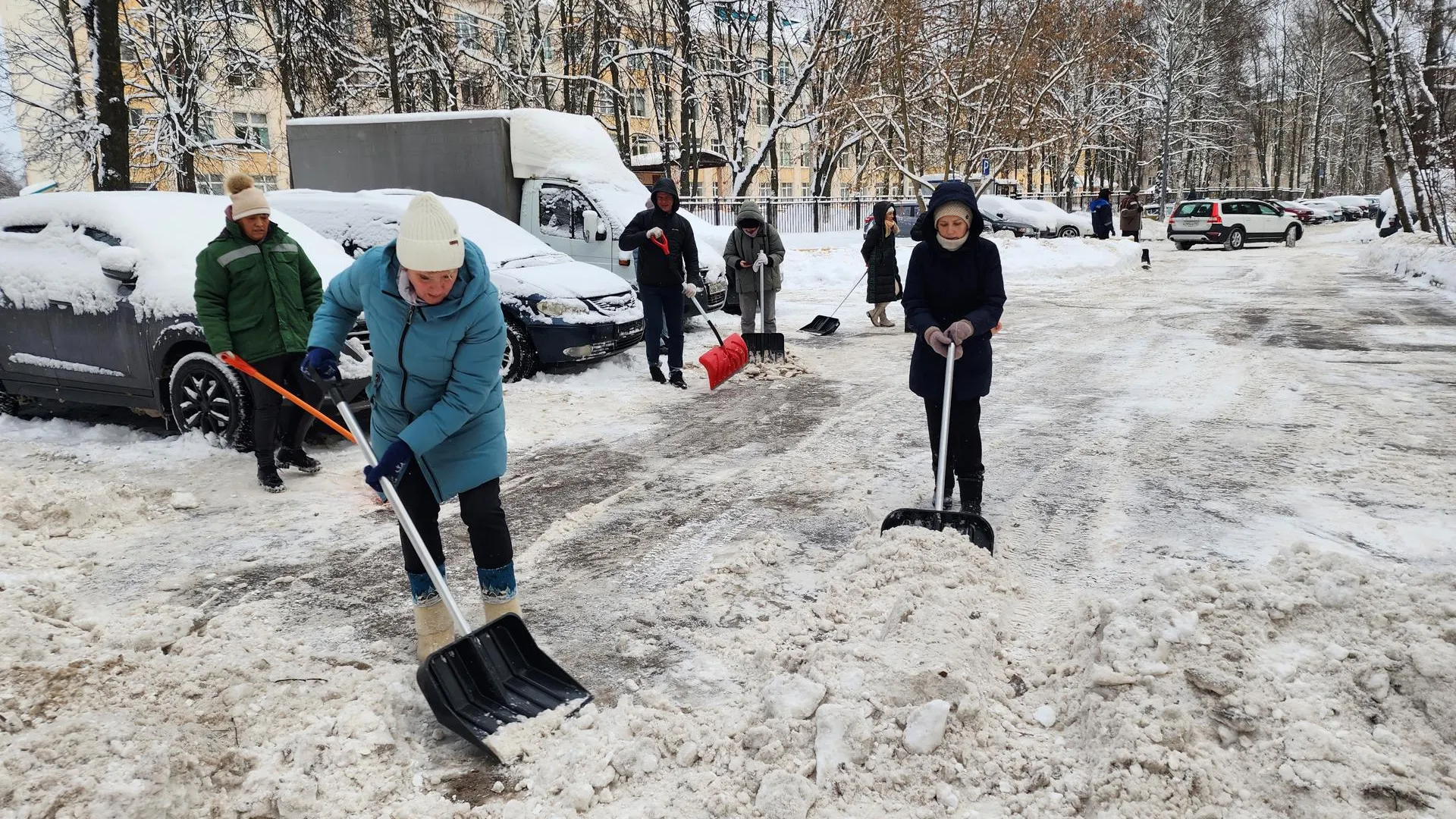 Светлана Борщева