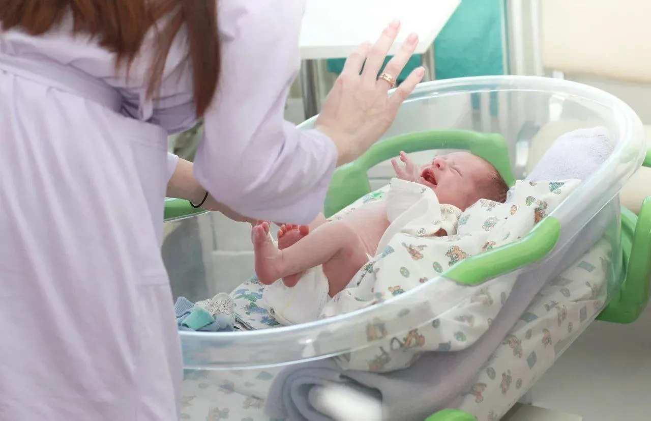 Фото: Пресс-служба Губернатора и Правительства Московской области