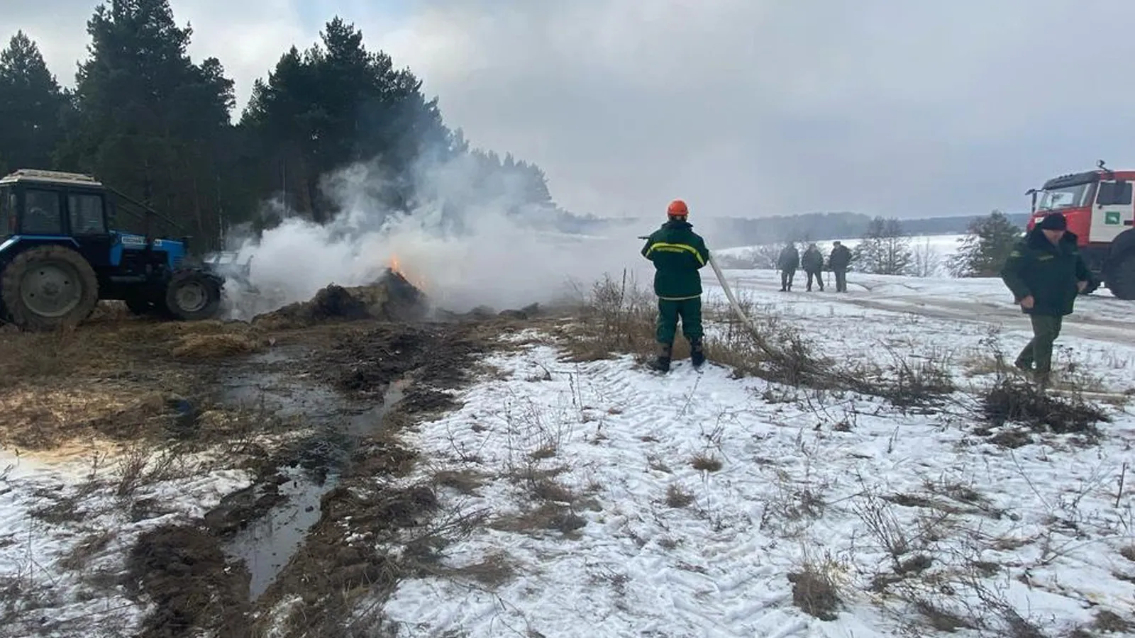 Фото: Луховицкий филиал ГАУ МО «Мособллес»