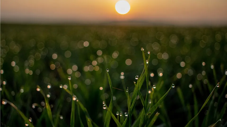 Фото: unsplash.com