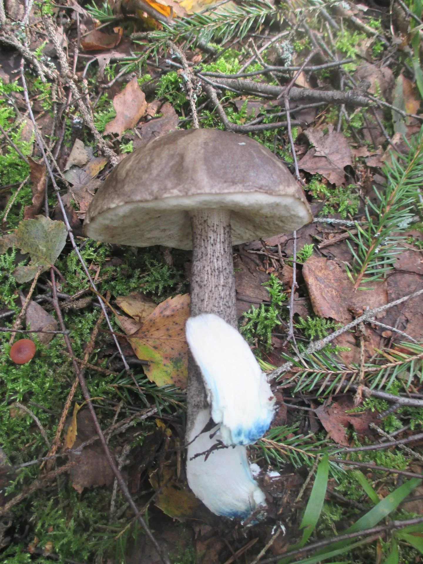 Министерство экологии и природопользования Московской области